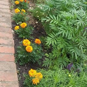 Meet your Posher, Erika